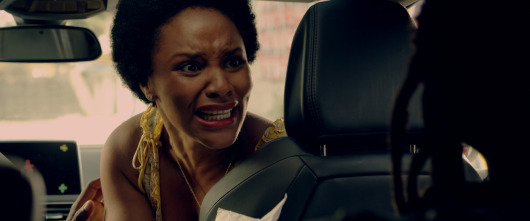 Imagen de Secuestro S.A. - 11