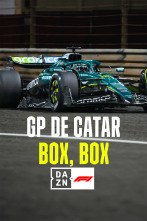 Imagen de Mundial F1 - GP... (2025): Box, box - 1