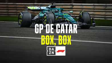 Imagen de Mundial F1 - GP... (2025): Box, box - 2