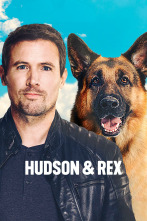 Imagen de Hudson y Rex (T4): Ep.6 Hudson & Rex (4): Ep 406 - 1