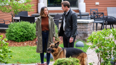 Imagen de Hudson y Rex (T4): Ep.2 Ups, lo mordí otra vez - 1