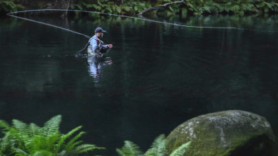 Imagen de El Neira, una tarde de julio - 3