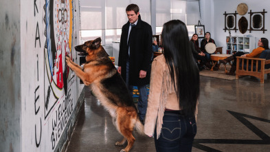 Imagen de Hudson y Rex (T3): Ep.13 Una mansión sobre una colina - 1