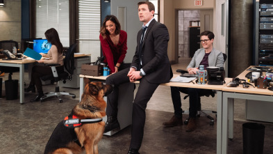 Imagen de Hudson y Rex (T3): Ep.16 El arte de robar - 1