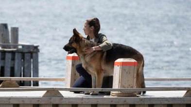 Imagen de Hudson y Rex (T7): Ep.3 Mariscos Para Siempre - 1