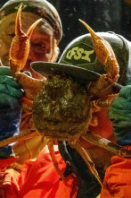 Imagen de Pesca radical (T21): En apuros - 1