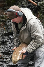 Imagen de La fiebre del oro:...: El invierno no espera a nadie - 1