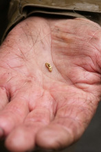 Imagen de La fiebre del oro:...: Rota y a rayas - 1