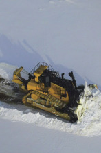 Imagen de La fiebre del oro... (T1): Los movimientos del oro - 2