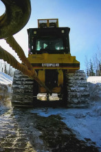 Imagen de La fiebre del oro bajo...: En la brecha - 2
