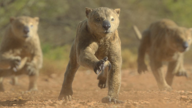 Imagen de Planeta prehistórico: Tierras áridas - 2