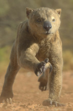 Imagen de Planeta prehistórico: Tierras áridas - 1