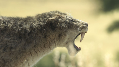 Imagen de Planeta prehistórico: Praderas - 2