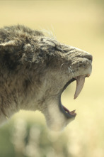 Imagen de Planeta prehistórico: Praderas - 1