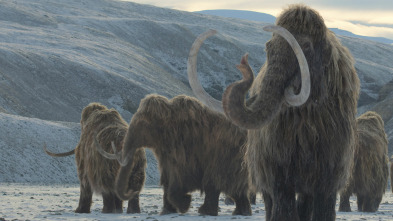 Imagen de Planeta prehistórico: El gran deshielo - 2