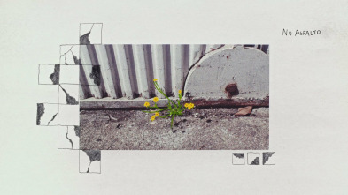 Imagen de Maleza - 4