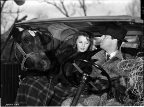 Imagen de Recuerdo de una noche - 3