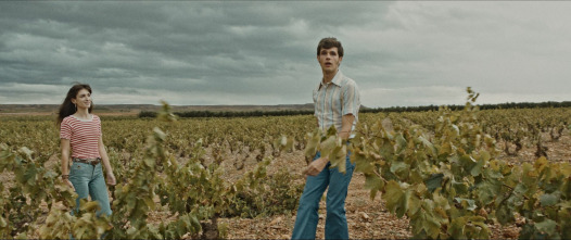 Imagen de Cariñena, vino del mar - 6