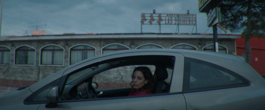 Imagen de Pálpito - 6