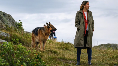 Imagen de Hudson y Rex (T4): Ep.8 Muerte súbita - 1