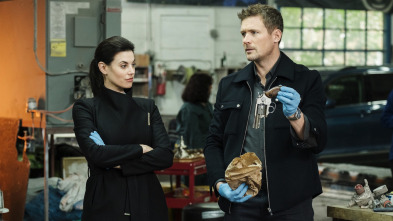Imagen de Hudson y Rex (T4): Ep.10 Diamantes de sangre - 1