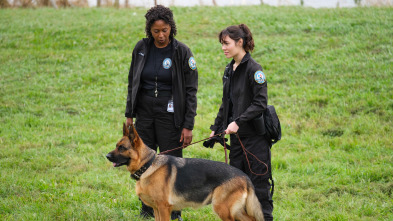 Imagen de Hudson y Rex (T7): Ep.4 K9: La Nueva Generación Rex - 1