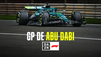 Imagen de Mundial F1 - GP de Abu Dabi (2025) - 4