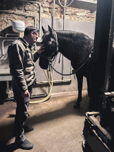 Imagen de Andrea Bocelli: Because I Believe - 7