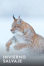 Imagen de Expedición Salvaje  - 1