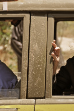 Imagen de Rescatando a Sara (T1): Ep.1  - 1