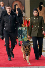 Imagen de Hudson y Rex (T4): Ep.12 Ningún hombre es una isla - 1