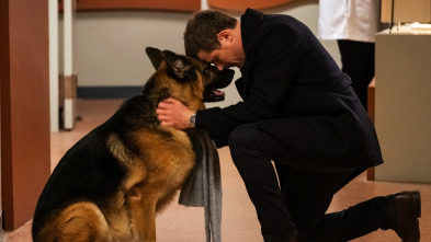 Imagen de Hudson y Rex (T4): Ep.16 Los últimos días de perros - 2