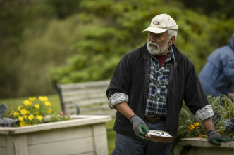 Imagen de La ley de Jenny Pen - 7