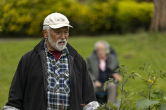 Imagen de La ley de Jenny Pen - 8