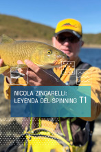 Imagen de Nicola Zingarelli: Leyenda del spinnig (T1) - 1