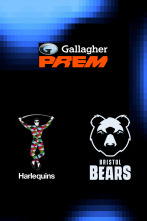 Imagen de T. Regular: Harlequins - Bristol Bears - 1