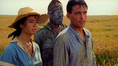 Imagen de ¡Biba la banda! - 4