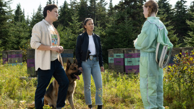 Imagen de Hudson y Rex (T7): Ep.6 Muerte Entre Abejas - 2