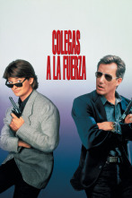 Imagen de Colegas a la fuerza - 1