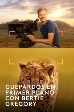 Imagen de Guepardos en primer plano con Bertie Gregory  - 1