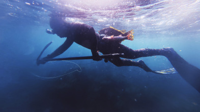 Imagen de El pescasub sostenible - 3