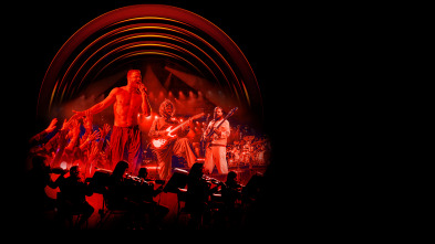 Imagen de Imagine Dragons: Live from the Hollywood Bowl - 12