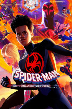 Imagen de Spider-Man: Cruzando el Multiverso - 1