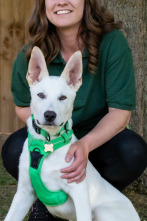 Imagen de The Dog House (T7): Ep.2 - 1