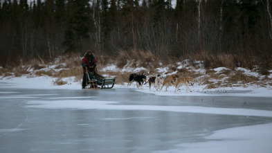 Imagen de Vida bajo cero: De nuevo en casa - 2
