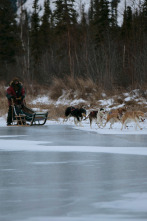 Imagen de Vida bajo cero: De nuevo en casa - 1