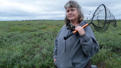 Imagen de Vida bajo cero: Autopistas del Ártico - 2