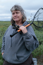 Imagen de Vida bajo cero: Autopistas del Ártico - 1