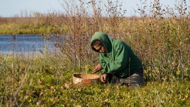 Imagen de Vida bajo cero: Nadie pelea solo - 2