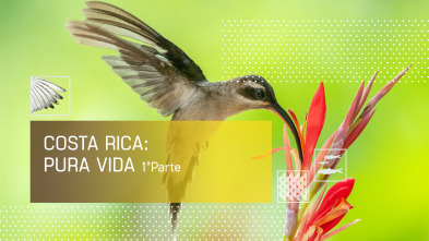 Imagen de Costa Rica: Pura Vida 1 - 2